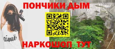 прущие крисы Будённовск