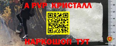 прущие крисы Будённовск